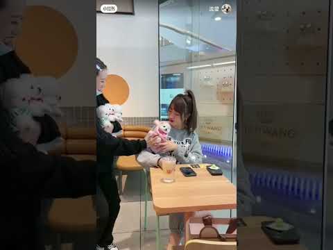 #All My Pets, One Big Hug#Caught with a Handful of Happiness#Fluffy Squad Goals