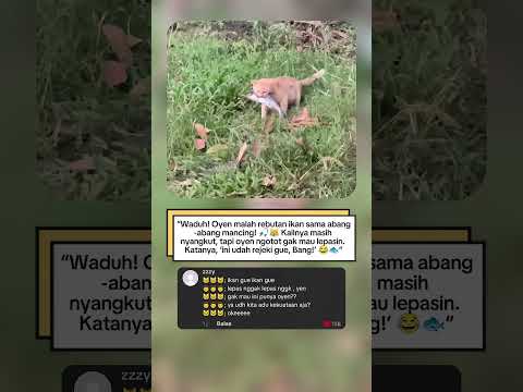 “KAIL MASIH NYANGKUT, TAPI OYEN NGOTOT IKANNYA PUNYA DIA!! 😹🔥”