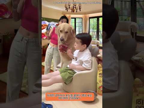 아기의 편안한 일상~/Baby’s cozy <strong>daily</strong> life~🤣
