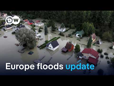 Europe floods update: What's the situation on the ground? | DW News