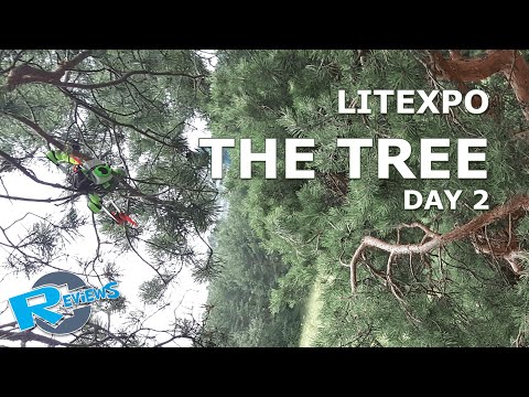 LitExpo - The Tree - day 2 - QuadCopter Crash & climb to get it - UCv2D074JIyQEXdjK17SmREQ