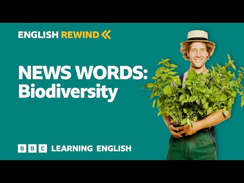 English Rewind - News Words: Biodiversity