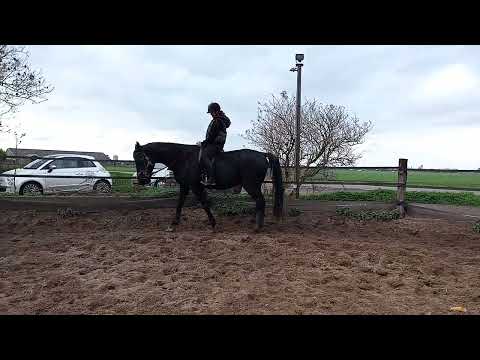 Eslin voor het eerst op Black👏🤗🍀👌#horse #horses #paardrijles 