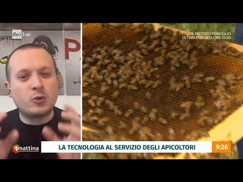 Biodiversità il ruolo fondamentale delle api - Unomattina 11/12/2023