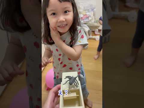 【ドッキリ⁉️】第２段スパイダードッキリ！！ #ゆうひなた  #ドッキリ #ショート #よければグッドを
