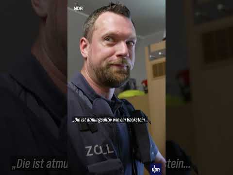 Unterwegs mit dem Zoll an der Westküste #ndr #doku #zoll #polizei