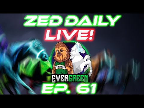 Zed Daily EP. 61 |  Zed & Chill | Zed run