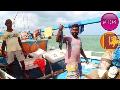 LA PÊCHE AU SRI LANKA ! ???????? | KALPITIYA | (VLOG #104)