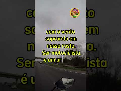 EP84 - Apreciando a estrada #shorts