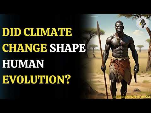 Ancient Humans Adapted to Survive Ice Ages and Warm Periods | WION Podcast