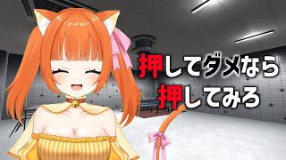 今だけなんと押し放題！！【押してダメなら押してみろ】