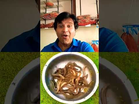 Village life | fishing like this 🎣 #viralfishing #trending #amazingcatching #fishing #shorts