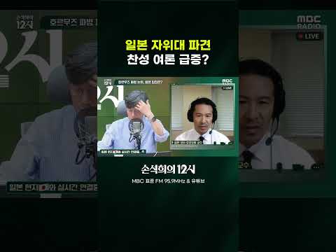 [손석희의 12시] 일본 자위대 파견 <strong>찬성</strong> 여론 급증?