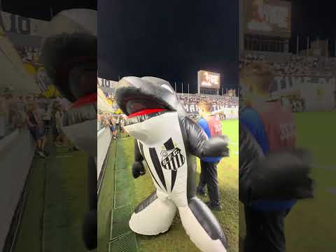 image para ilustrar o artigo