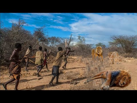 SEE HOW HADZABE SUCCESSFUL HUNT AND COOK THEIR PREY /TRADITION