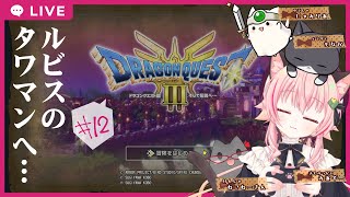 【#ドラゴンクエスト3 】#12 　ルビスのタワマンへ【ネタバレあり】