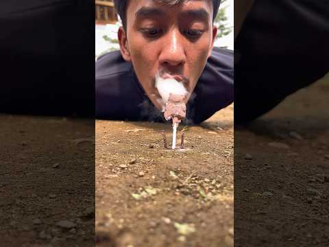 That’s unbelievable, just a single gummy bear and the centipede can’t resist coming out#shortvideo