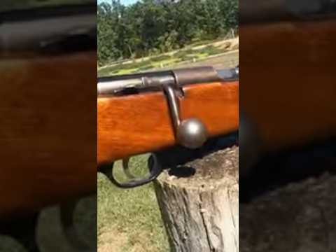 Marlin Fans Say Hi!!