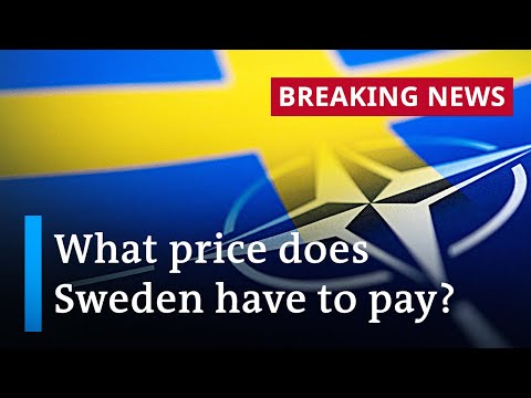 Erdogan drops opposition to Sweden's NATO bid | DW News