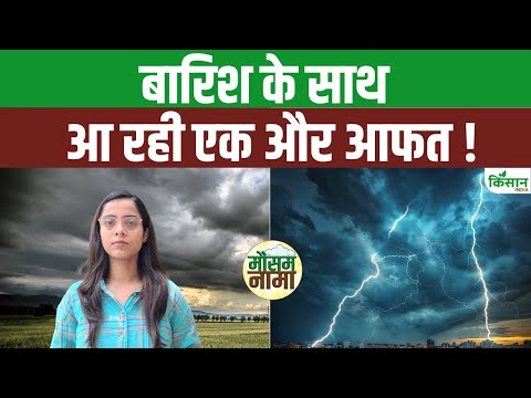 Weather Update: Himachal, MP,  UP Flood से बेहाल, यहां Heavy Rain Alert। #monsoon2025 #weathernews