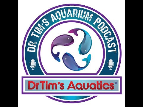 Planted Tanks This episode of the DrTim's Aquarium podcast, we talk about planted tanks. 

Timestamp_ 
00_00 Start