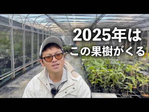 2025年にくる果樹はこれだ