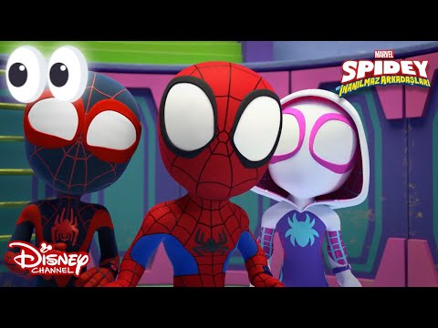 Karakterlerle Tanışalım😎 | Marvel Spidey ve İnanılmaz Arkadaşları | Disney Channel TR