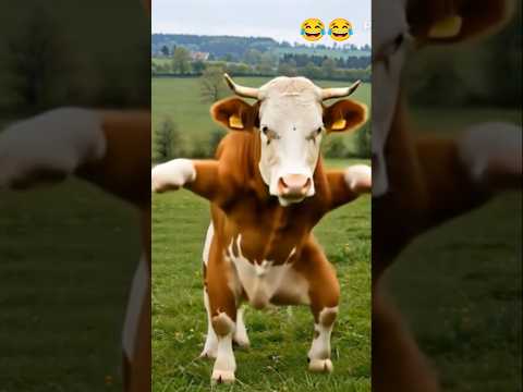 😱cow ka amazing dance video 😱 #dance #cow #short #funny #ytshort #viral