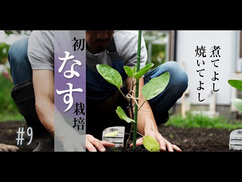 【家庭菜園】大丈夫か!?夏野菜を梅雨に植える。初めてのナス栽培【GardenVlog#9】