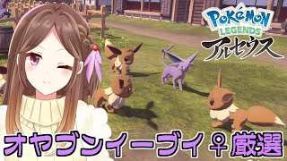 【レジェンズアルセウス】オヤブンイーブイ♀今日こそ捕まえる【Live配信】