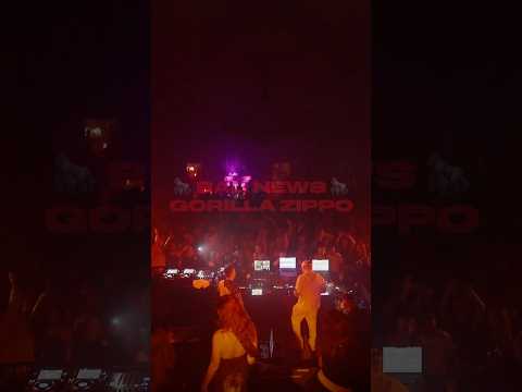 Gorilla Zippo — BAD NEWS. Слушайте альбомы «ПЛАМЯ» и «ПЕПЕЛ» на всех площадках!