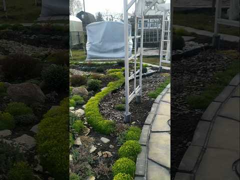 #дача #омск #апрель 2025 #shorts