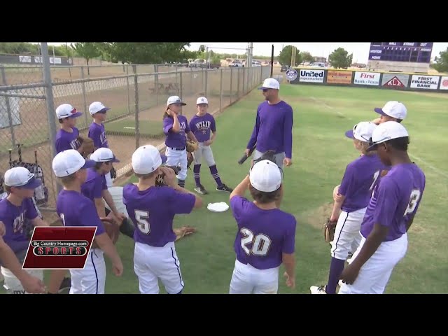 Wylie Little League Baseball: A Great Activity for Kids