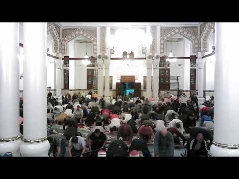بث مباشر من مسجد جامعة مصر لصلاة العشاء