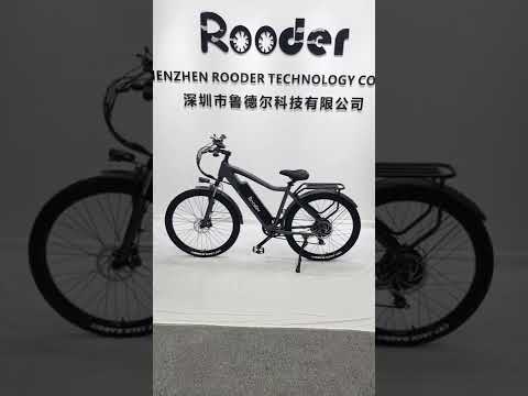 Rooder Electric bicycle factory wholesale