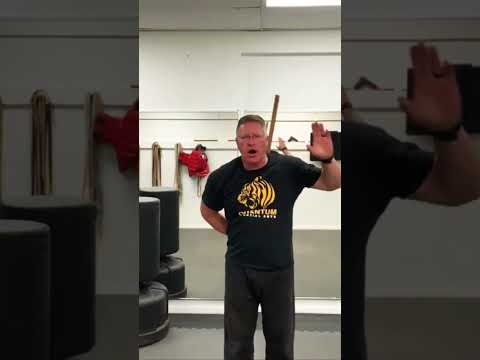 Bo spins overhead and behind your back #short