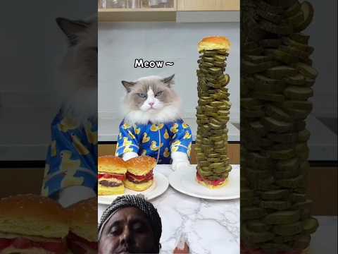 Burger #burger #food #cooking #cat #recipe #pets #cute #home #funny