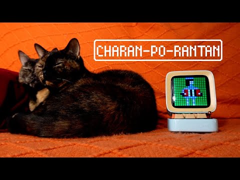 Cats & 8-bit [8-bit-charanpo]