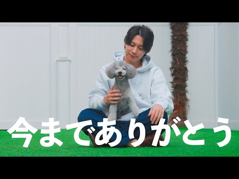 🐶「グリィのおみせやさん」閉店のお知らせと最後のグッズ紹介