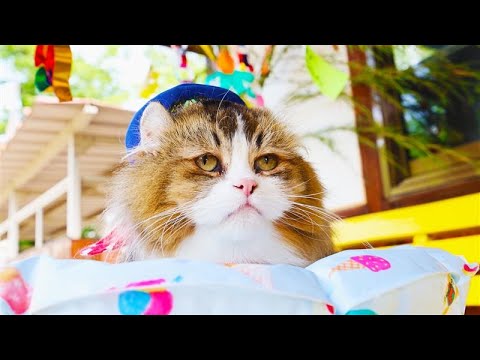 #72 幸せを願うにゃ！「ふにゃ～り日和」