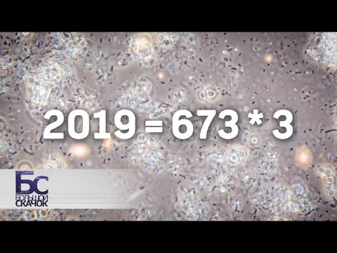 Научные сенсации - 2018 | Большой скачок - UCIi2Tk2POJkRgWHD7HGBa7Q