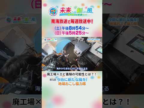 【今治市】古民家の扉を開けると、そこには驚きの光景が。