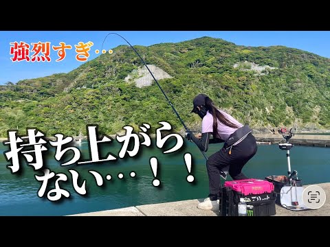 【全誘導フカセ釣り】持ち上がらない⁉️強烈な引きに立ち向かう…!!🔥