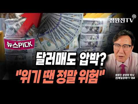 [뉴스픽] 달러매도 <strong>압박</strong>?..."위기 땐 정말 위험"