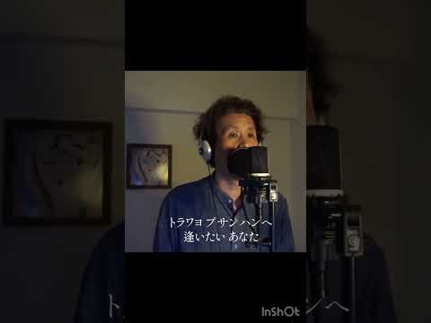 『釜山港へ帰れ』 渥美二郎 カバー⑤  伊藤文博　#歌ってみた #shorts #カバー #チョーヨンピル #渥美二郎 #釜山港へ帰れ