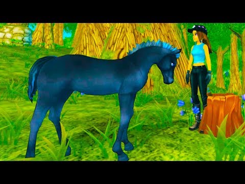 Training A Lost Foal!! A New Horse on Star Stable Online Game Video - UCIX3yM9t4sCewZS9XsqJb9Q