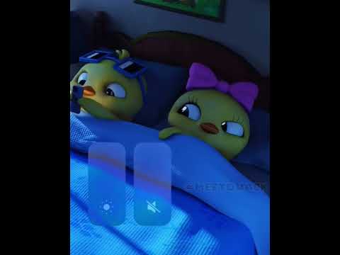 Vịt vàng #xuhuongyoutube #cute #cat #trending #viralshort #foryou #topnews