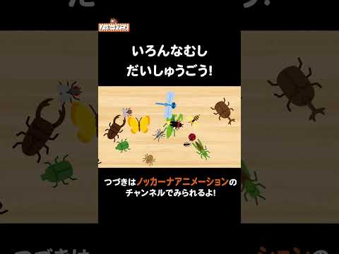 昆虫・虫たちの名前わかるかな？ #nokkanaanimation #ノッカーナアニメーション #知育アニメ #shorts