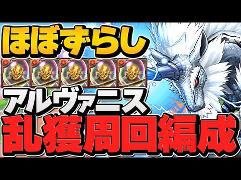 【1周3分】キリンでアルヴァニス希石を乱獲しよう！周回編成2パターン紹介！アルシオン周回編成も！【パズドラ】