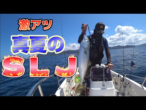 【激アツ】真夏のジギング！【SLJ】